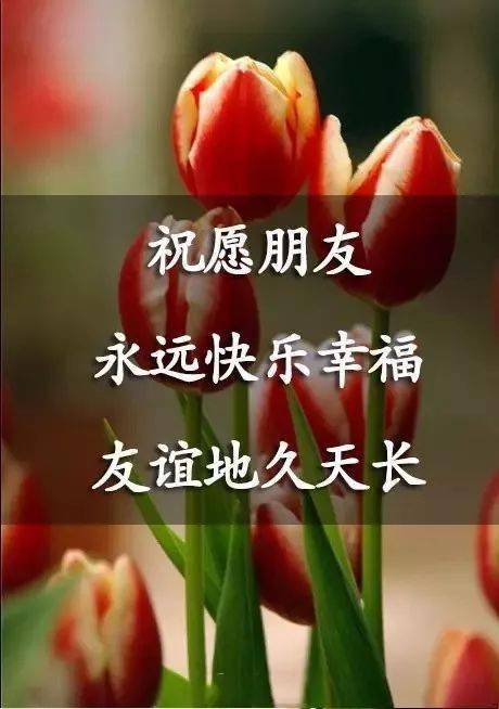 有种友谊无须挂齿却心神领会