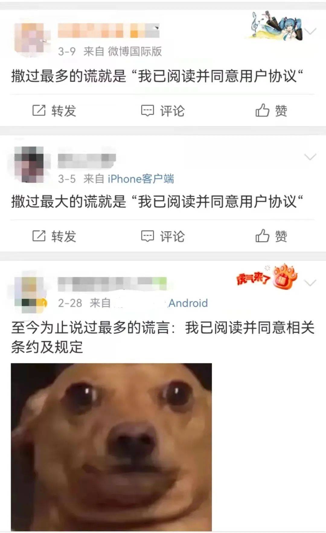 左晓栋|已阅读并同意?网友:这是我撒过最多的谎