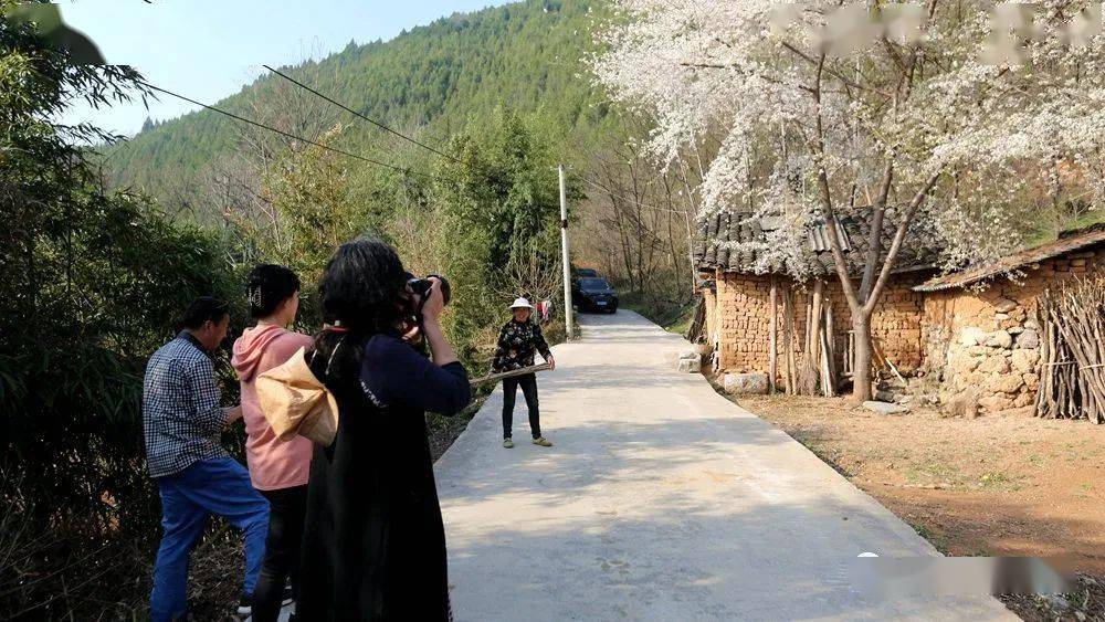 丹江口市蒿坪镇寺沟村春花灿烂