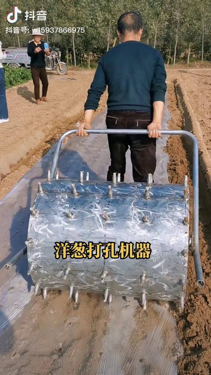 洋葱打孔机大蒜打孔机株距行距可定制