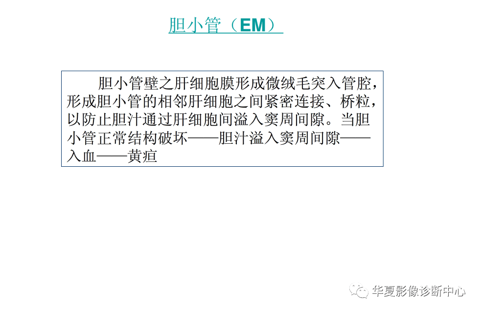 解剖|肝脏影像学与系统解剖