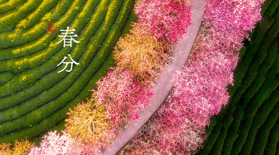 今日春分愿春来疫散