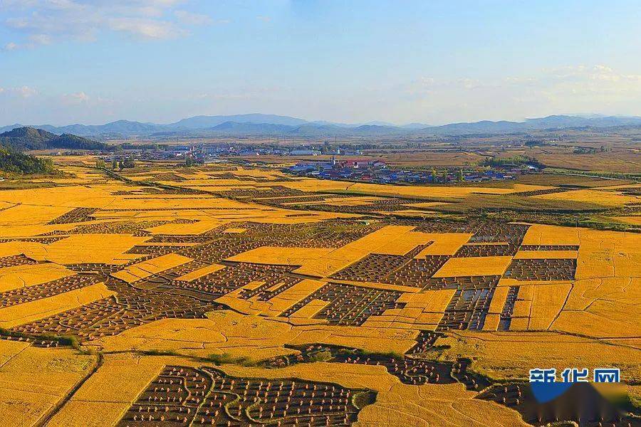 拉林满族镇_大米_全国