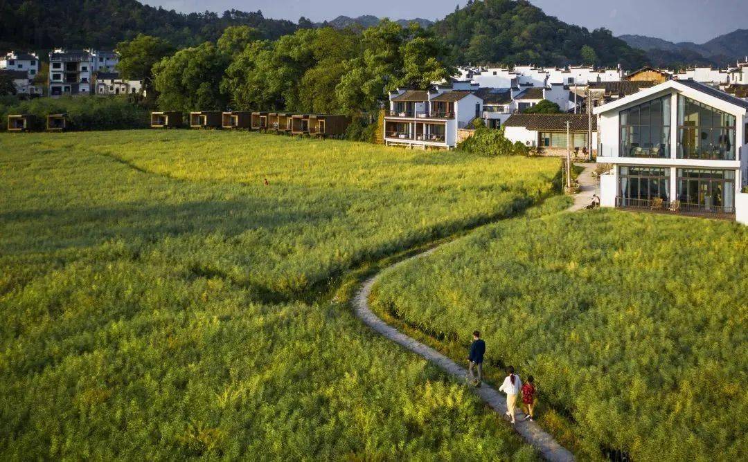 旅游探源望山生活请来婺源赋春严田村