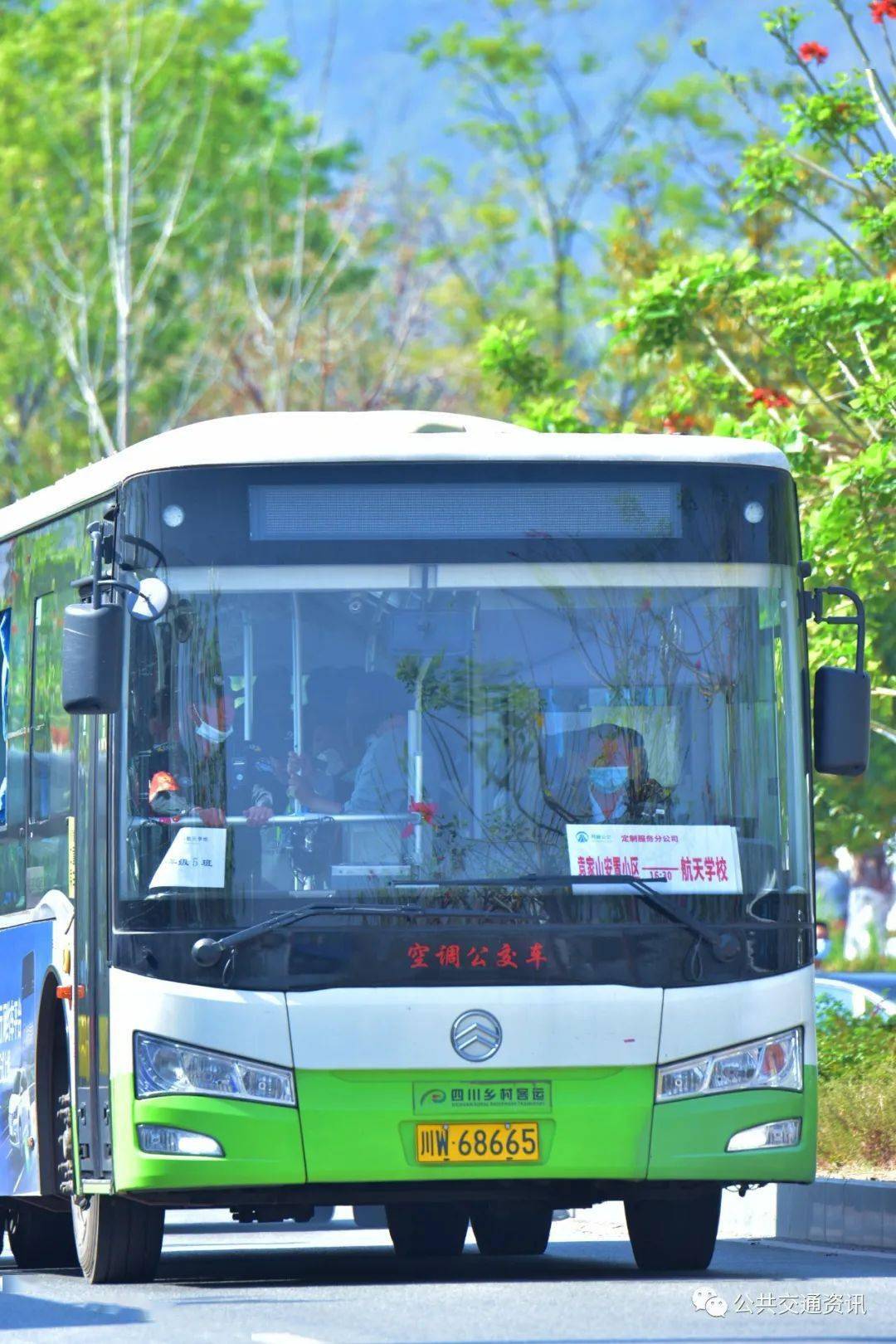 赏花踏春乘西昌月城定制公交不负春光赏花季黄花风铃木金艳春城