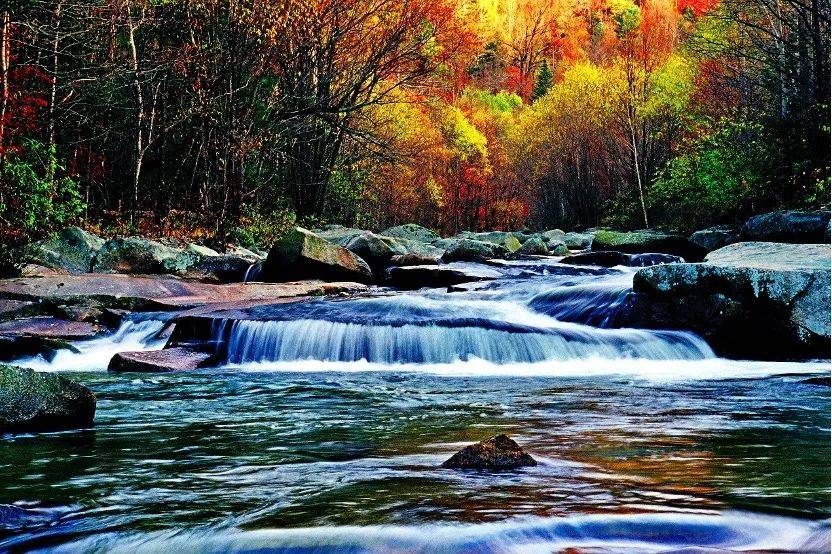 愿五常早日如常