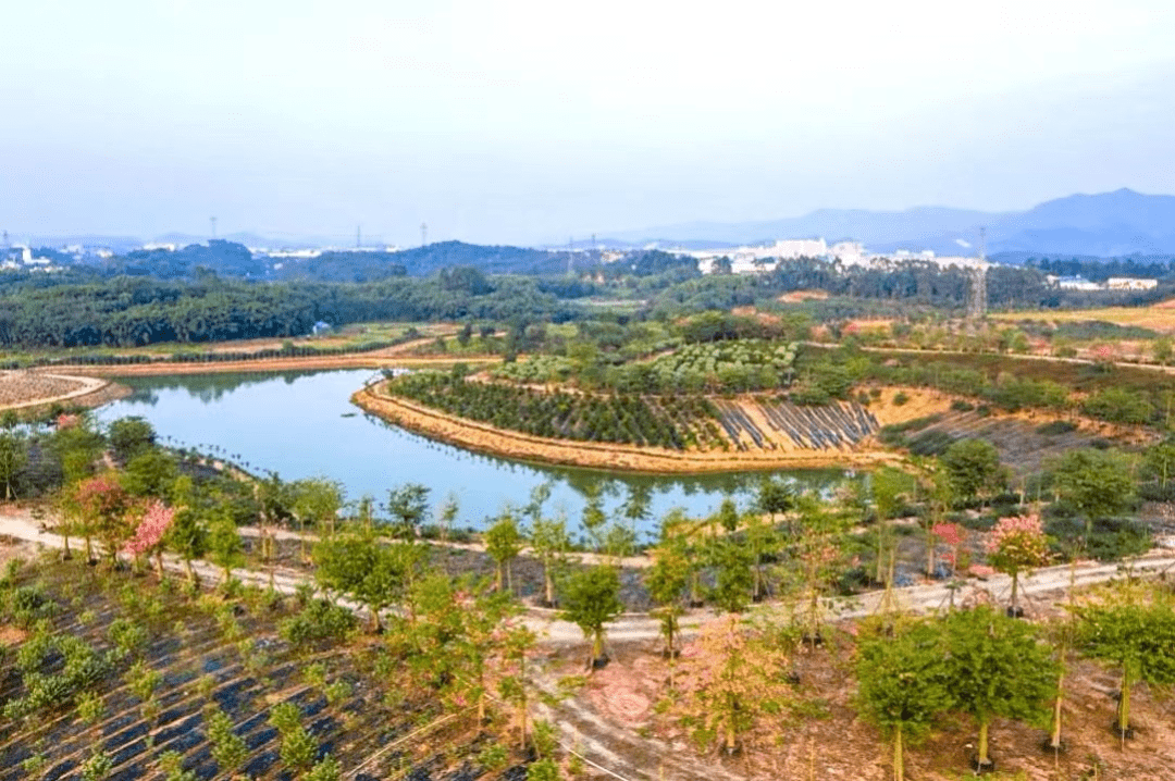 綜合體四會市七彩柑鄉四會沙糖桔田園綜合體坐落於四會市黃田鎮西岸村