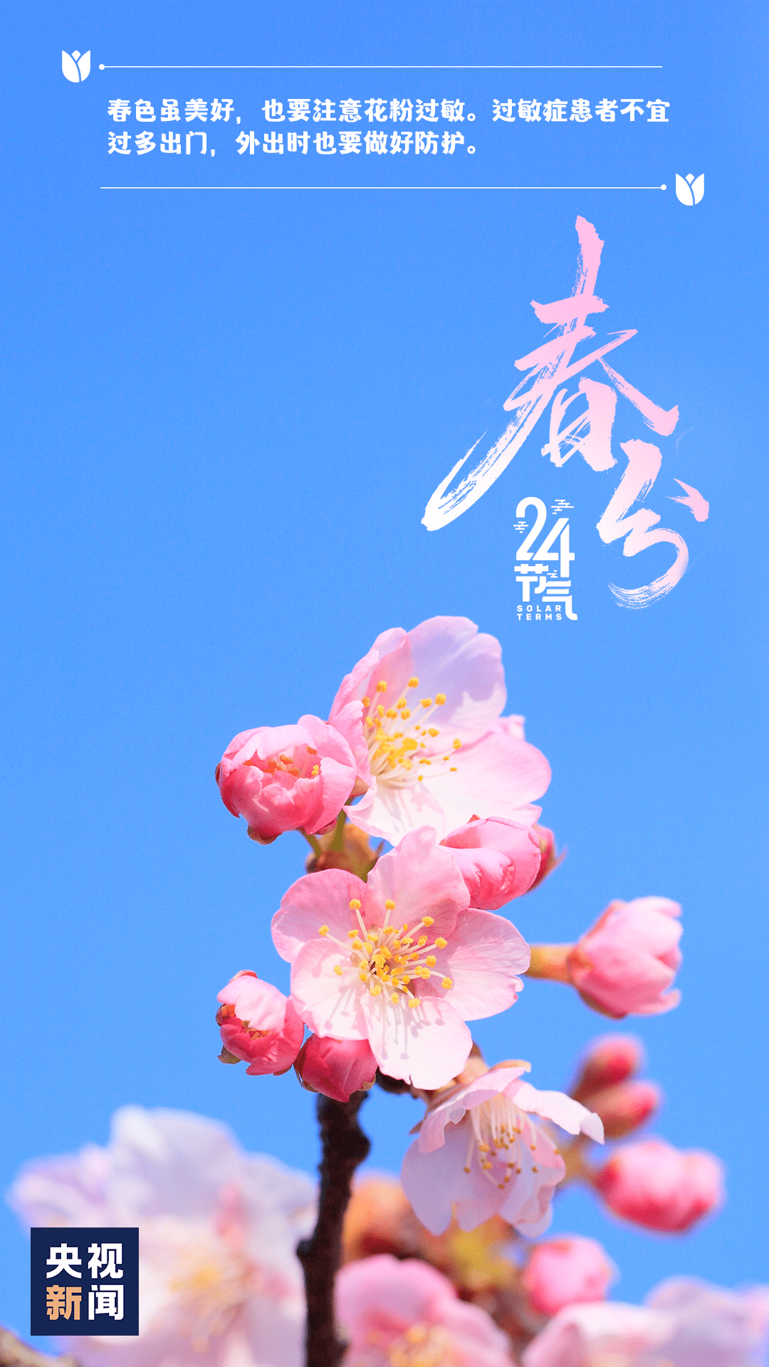 节气春风如贵客一到便繁华