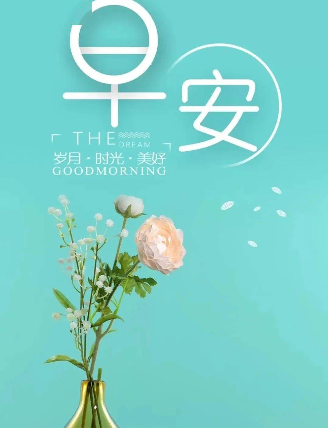 每日心语好好活着善待生命