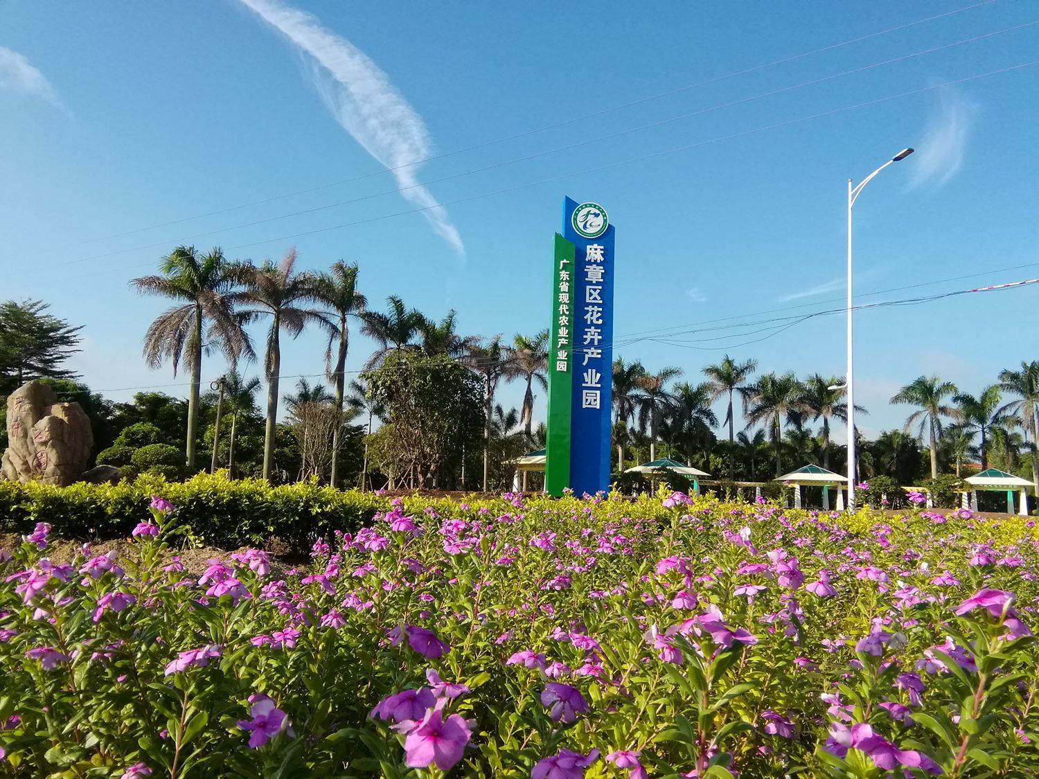 粤西唯一湛江麻章入选首批省级休闲农业与乡村旅游重点县