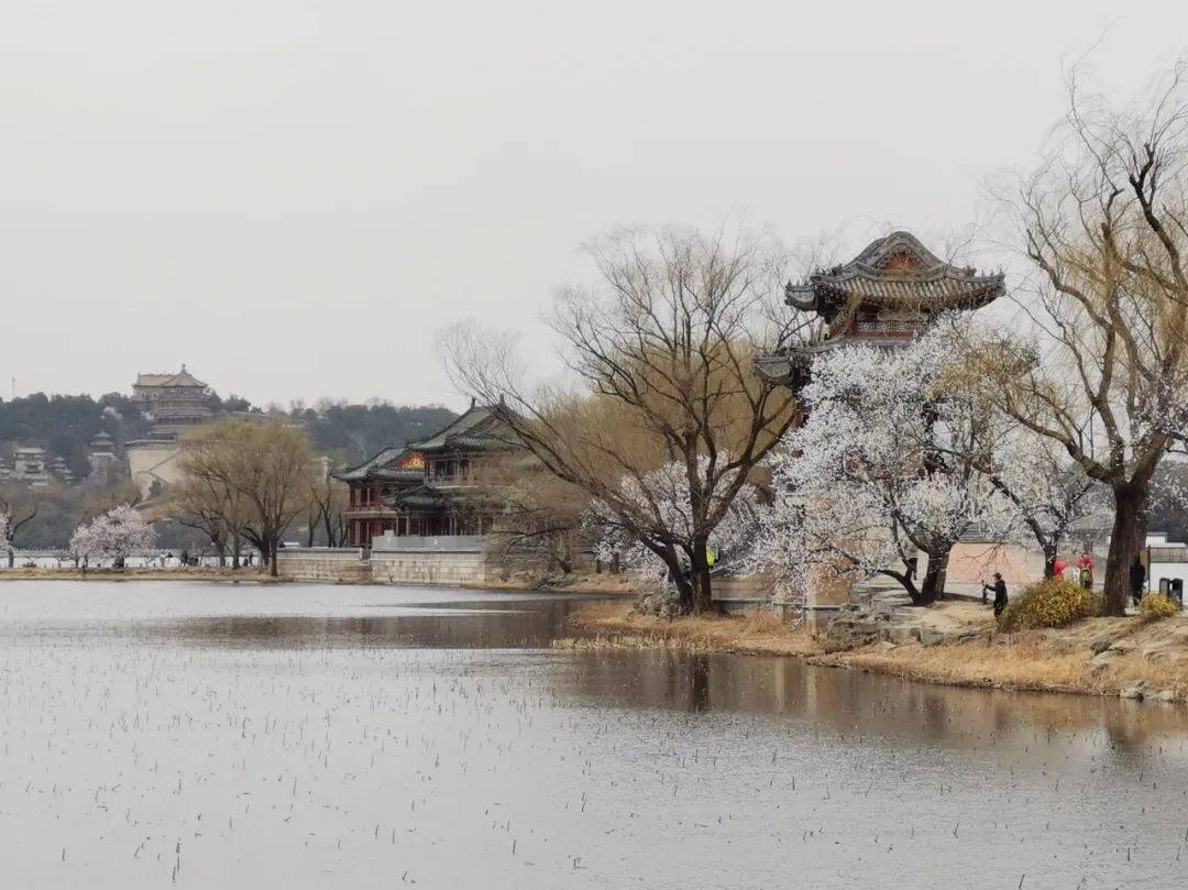 北京五家市属公园游船今起开航！陶然亭可以边逛边等