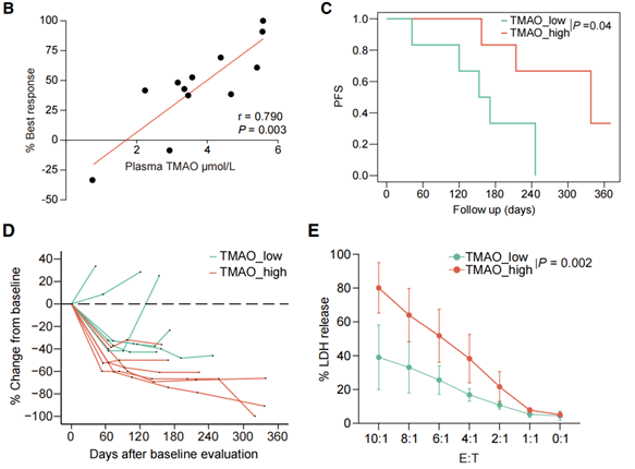 肿瘤|《细胞》子刊：红肉陷阱，竟是免疫治疗的神来之笔？复旦团队发现，肠菌代谢物TMAO能够加强三阴性乳腺癌患者对免疫治疗的反应