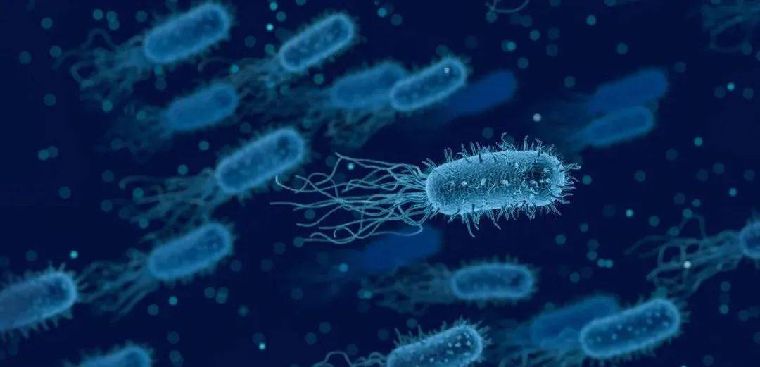 Nature子刊：给细菌穿上"隐身衣",给肿瘤输送药物，杀死癌细胞！