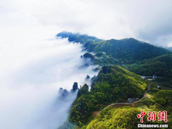 春光|湖北五峰现“半峡谷半云海”美景