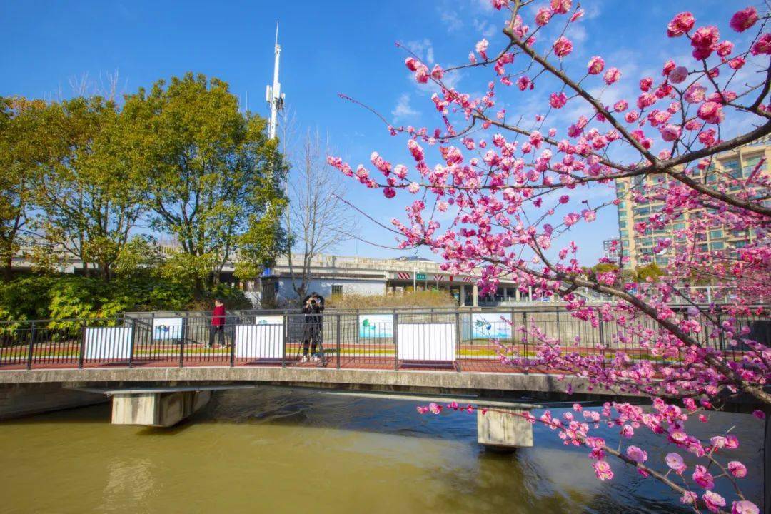 南箐園南箐園橋雙橋公園上善橋上善橋智慧湖長島公園浦倉路橋北箐園