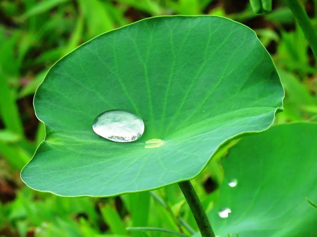 乐飞织 这双运动鞋，竟然遇水秒弹开，雨天也能大胆穿！