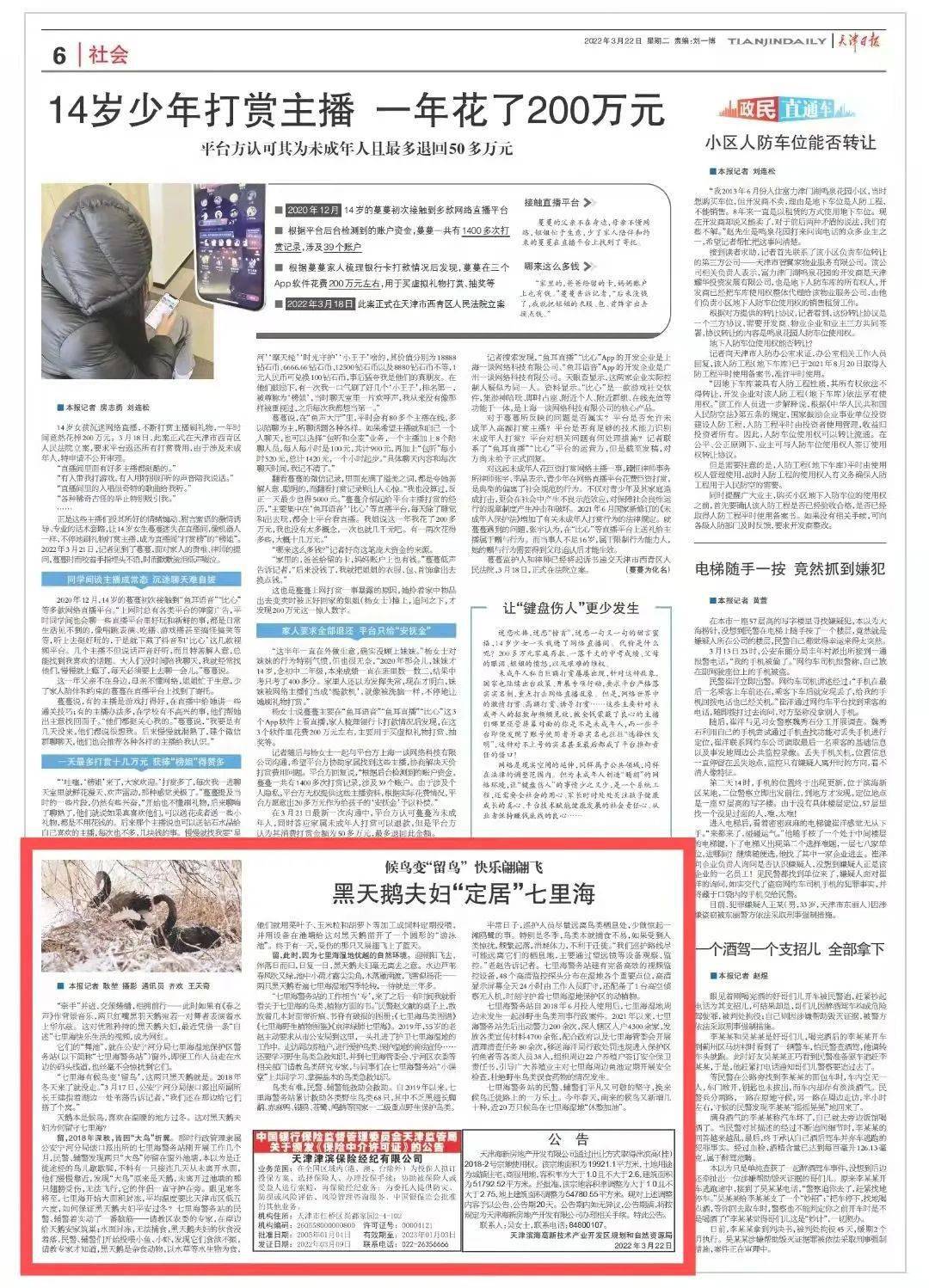 里海|天津日报丨黑天鹅夫妇“定居”七里海