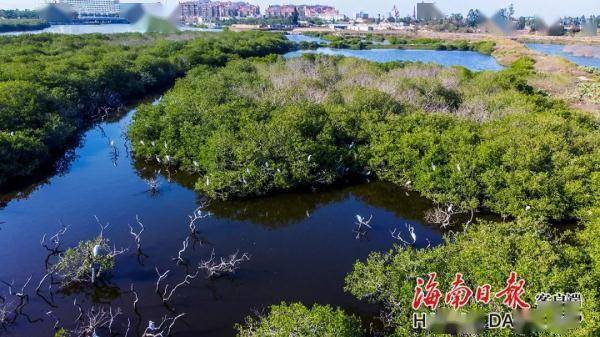 孙清|海南的水，真美！