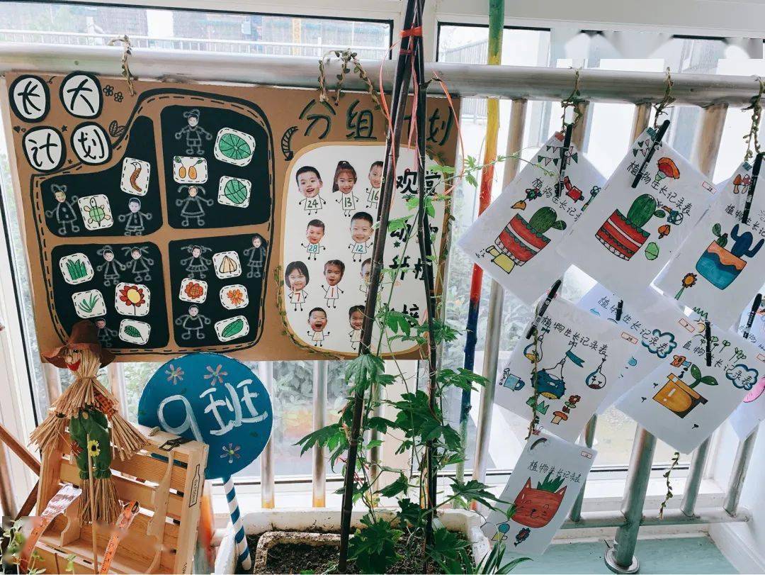 幼儿园环境布置春季植物角环创自然角创设