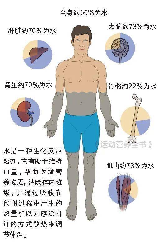 流失_水分_脱水