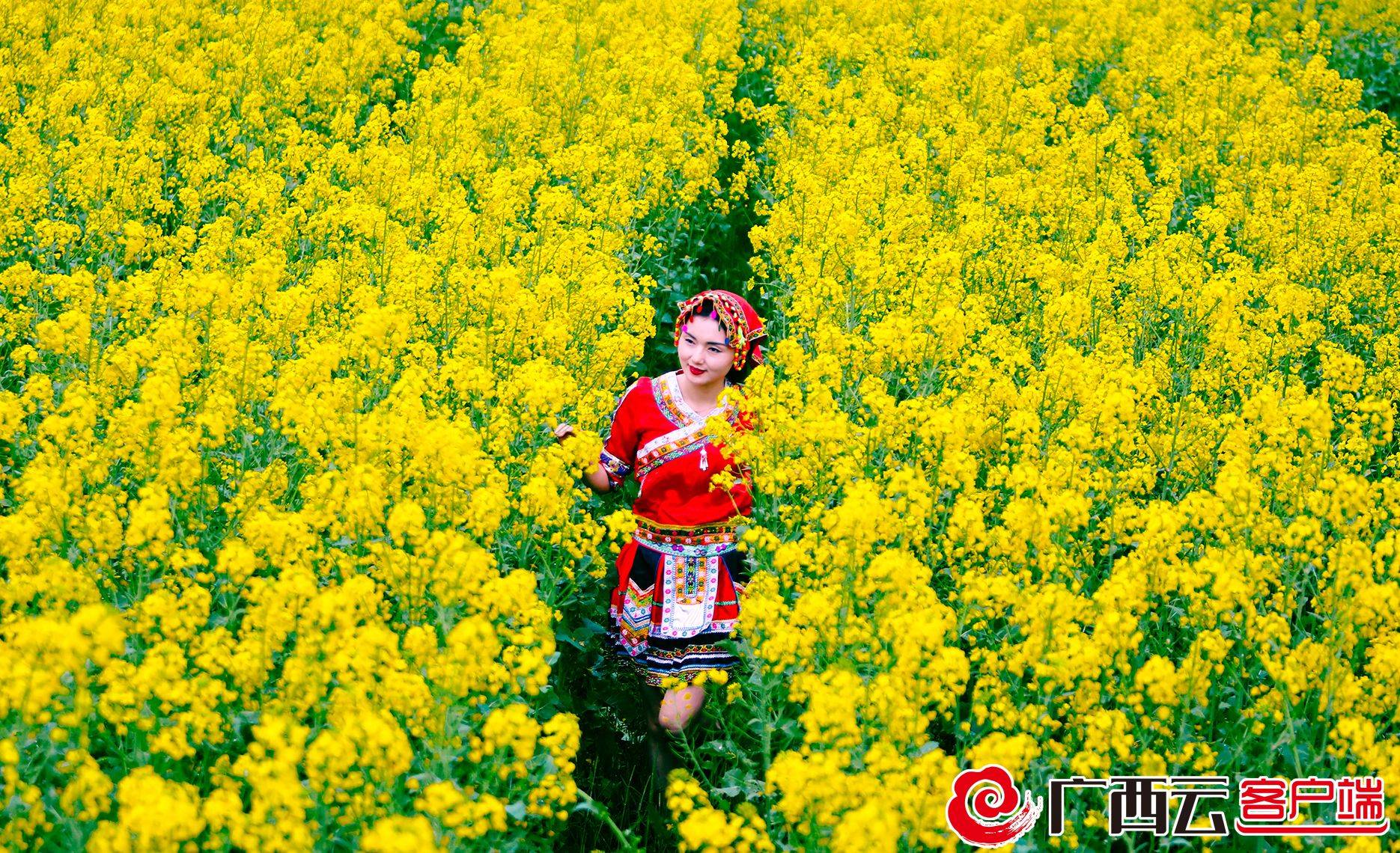 桃花|灌阳县：花开大地“卖风景”乡村旅游日益红