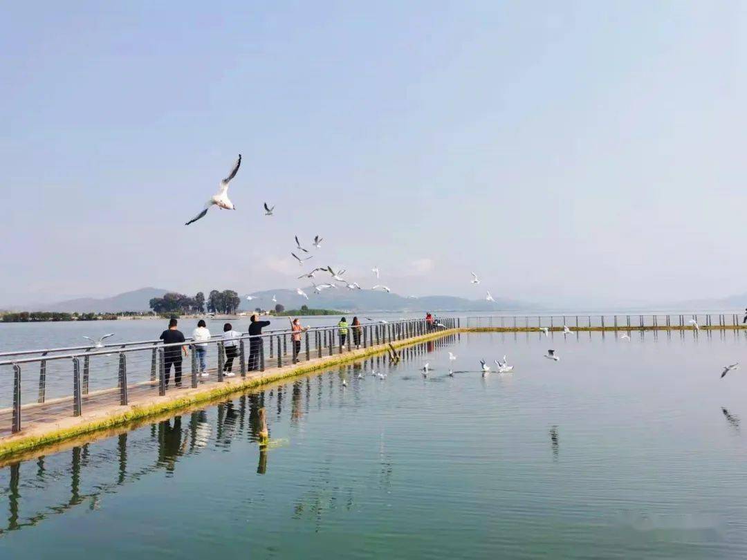 星雲湖畔春光美 山水田園如畫圖_江川_世界_邱忠文