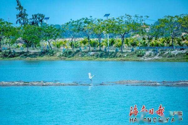 孙清|海南的水，真美！