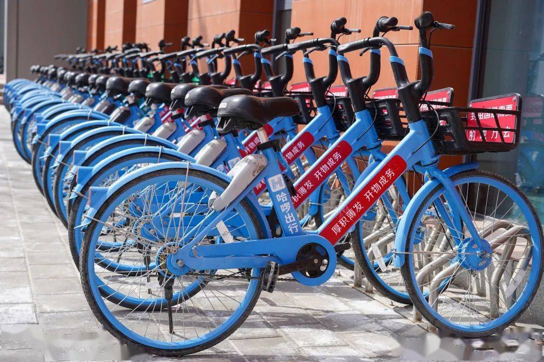 校区专属版共享单车投入使用!_认证_精神_校园