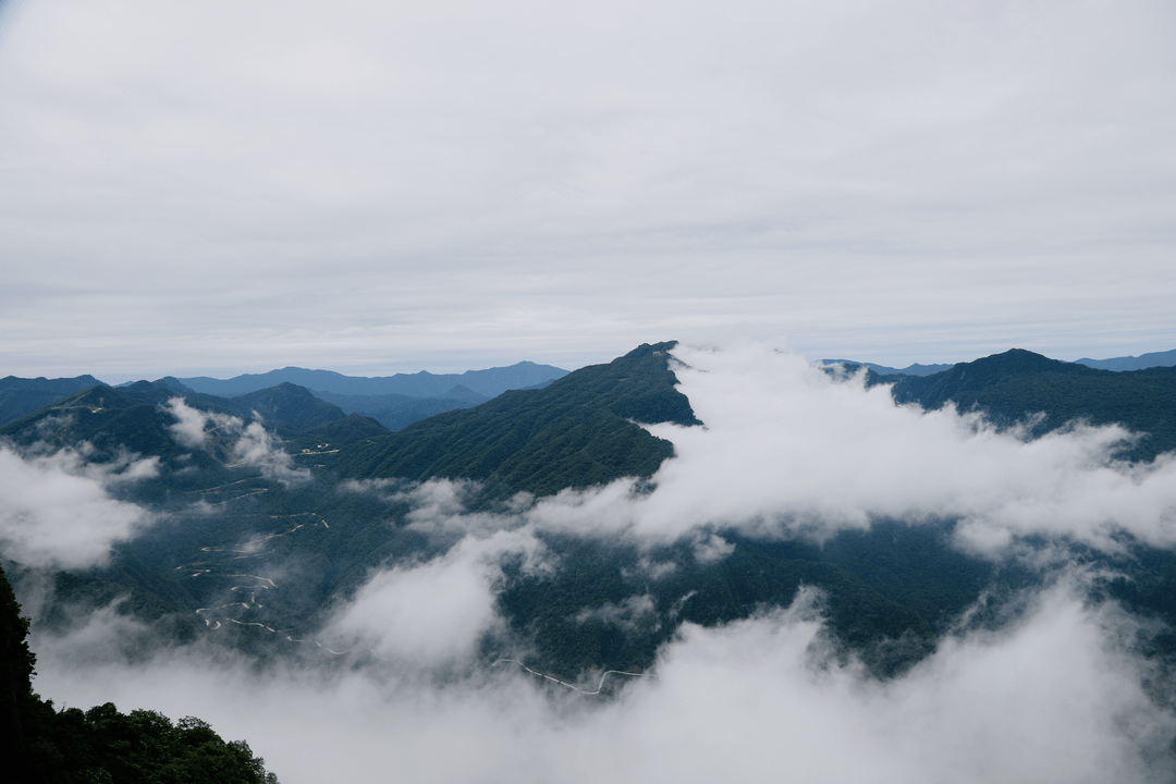 本人有效证件|龙头山景区3月25日恢复开园！免门票活动来袭！