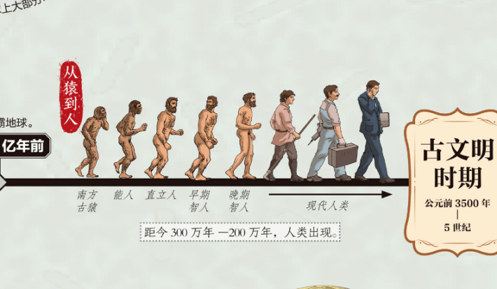 了解从猿到现在人类的发展史.