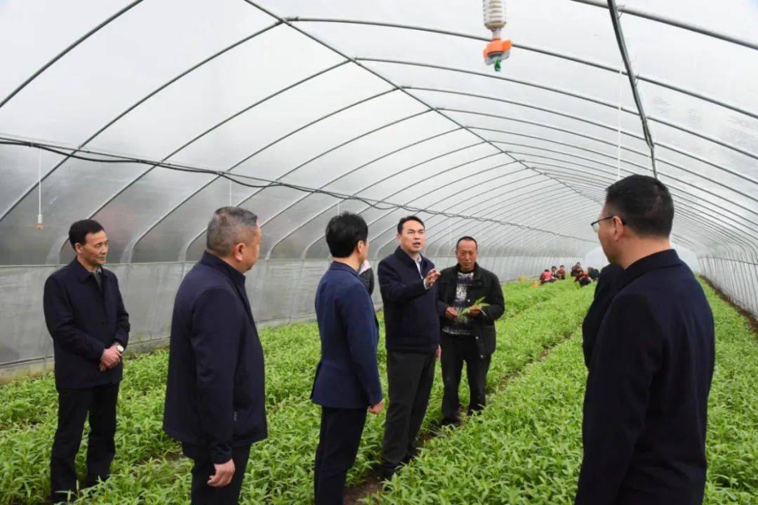 朱华伦到华兴镇调研乡村振兴工作