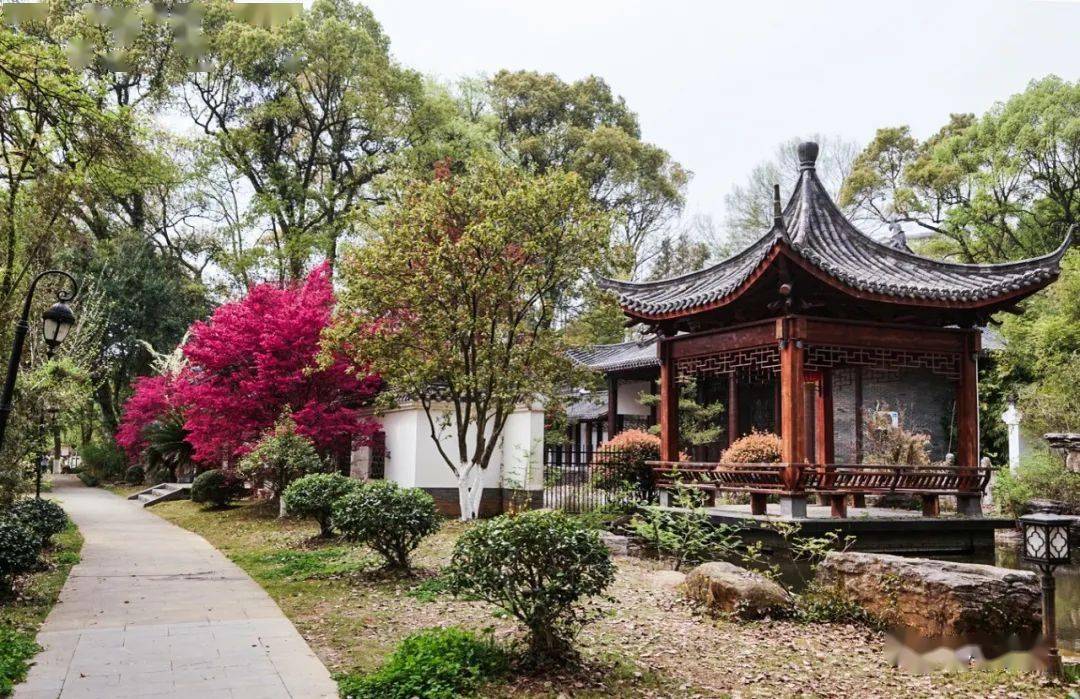 玉山杏花村公园掠影