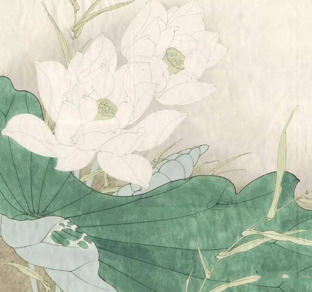 两种荷花的画法 花头 水草 部分 两种荷花的画法 花头 水草 部分