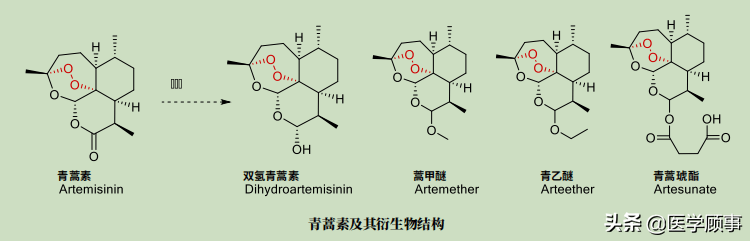 青蒿揮發油對於多種病原菌具有抑制作用可用於祛痘等化妝品