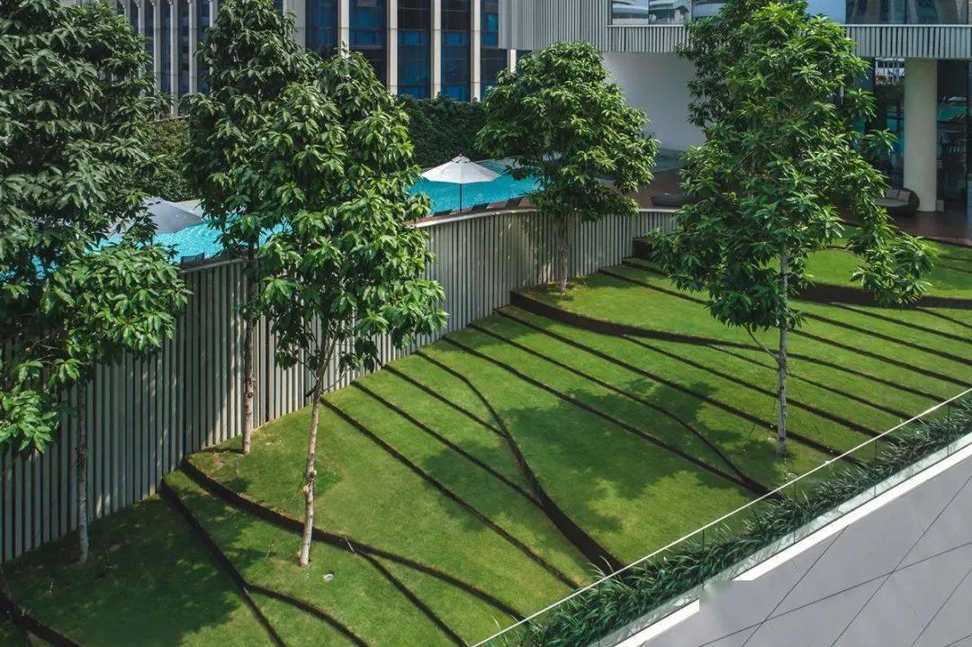 干货| 关于台阶的植物设计_绿篱_阶梯_空间