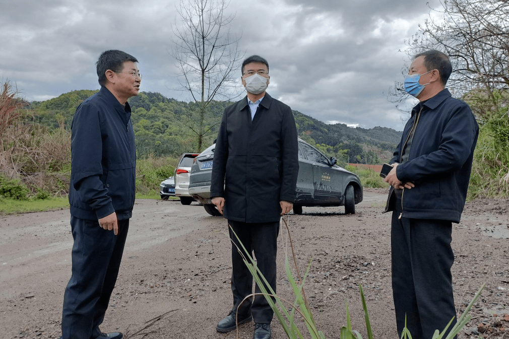 谢淘赴钤山镇调研督导