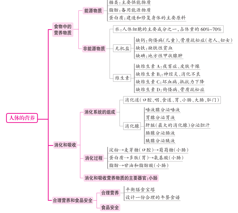 初中生物超全整理各章節概念圖會學的同學都收藏啦可下載打印