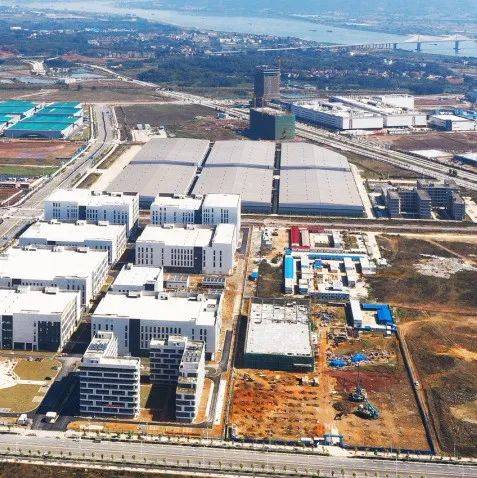 肇庆新区：向高质量发展迈进，为肇庆实现“两个定位”贡献力量！_产业园区_生产_服务