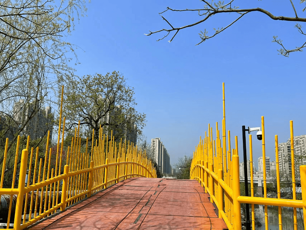 本周北塘河绿地这些区域已开放!还可以去._萧山_绿化_市民