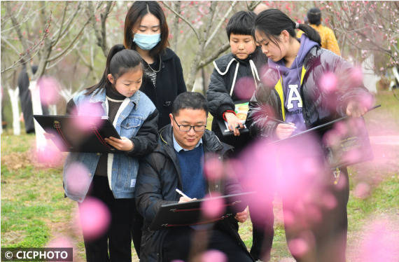 浙江省台州市|走进花海画春天