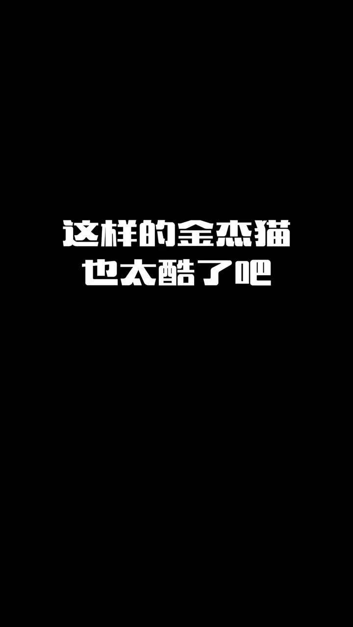 听说金杰猫拟人会很帅拟人金杰猫汤姆猫