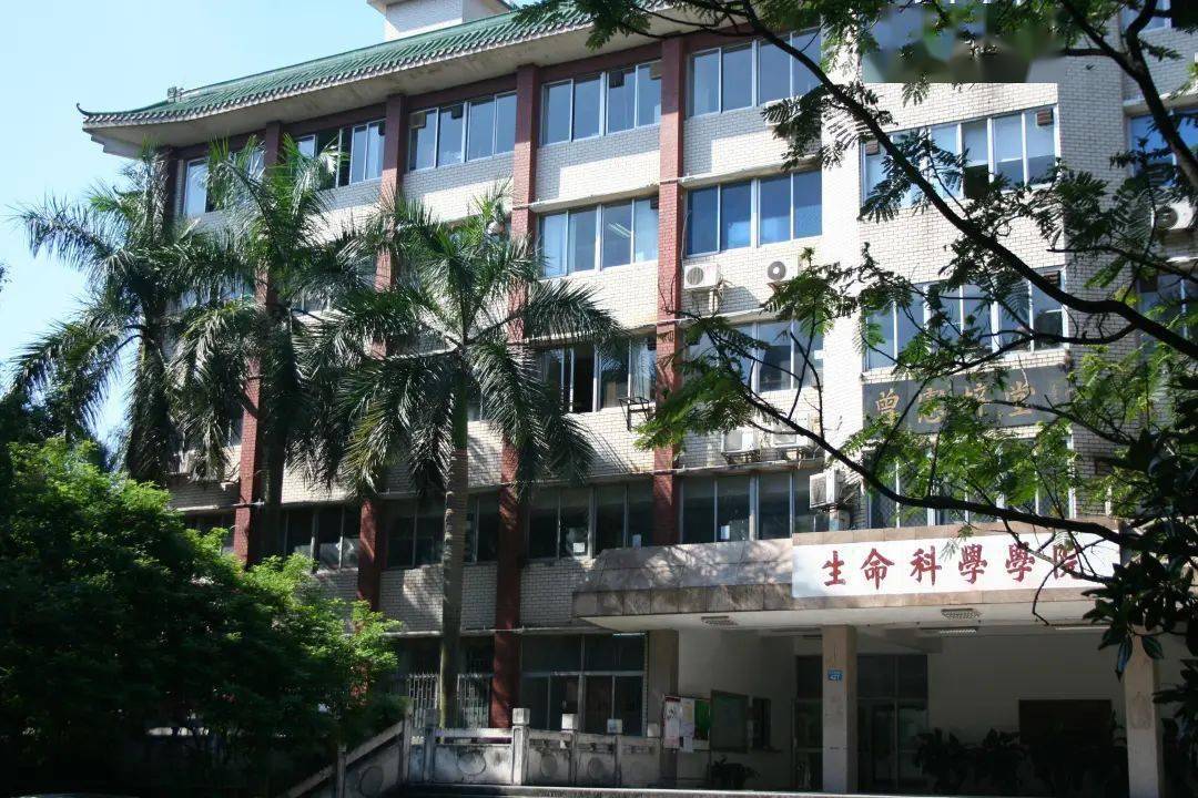 中山大学生命科学院图片