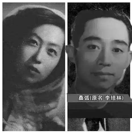 黄逸梵:两次介入女儿张爱玲的婚恋,晚年收养孤儿,死前遗愿落空_母亲_胡兰_张家人