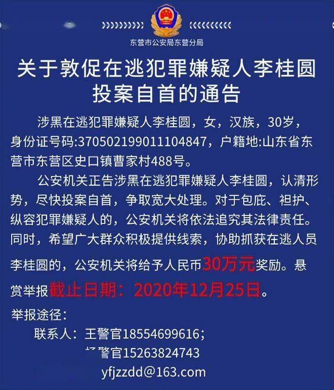 山东90后女黑老大李桂圆,靠美貌为祸东营多年,后被悬赏通缉_李辉_客户