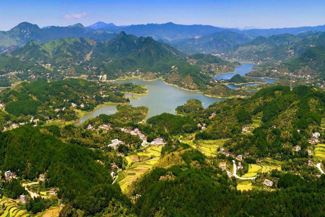 不负宜城好春光安庆田长在田头丨太湖县田不荒心不慌跟着田长去巡田