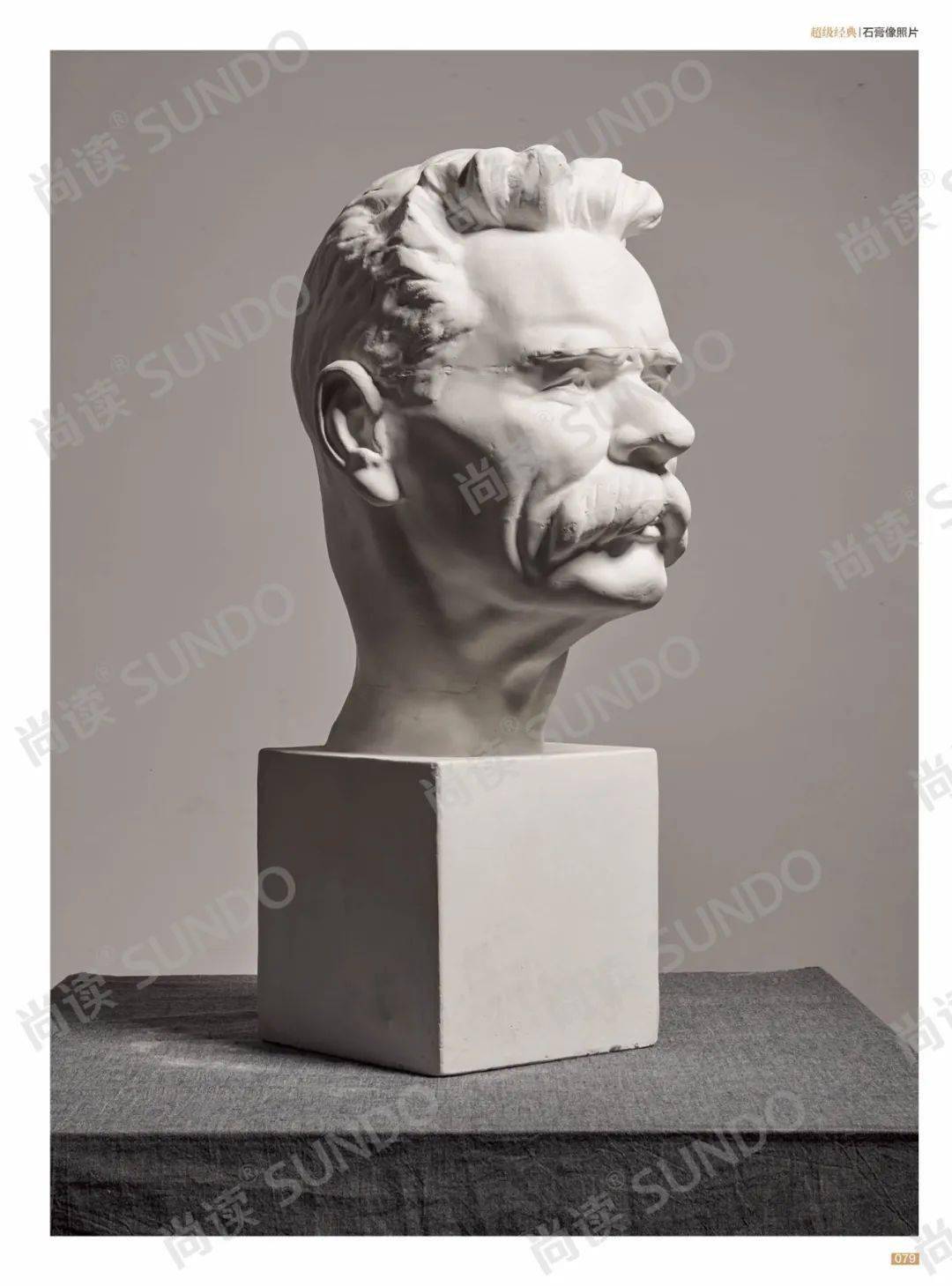 超级经典40石膏像照片实用与专业结合拍摄铸就经典从基础到应考每组