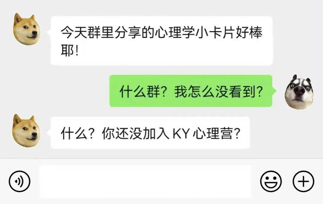 沟通|KY心理营持续招募中，快来集合吧！