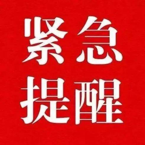 部分用户反映iOS平台WhatsApp应用存在严重闪退问题