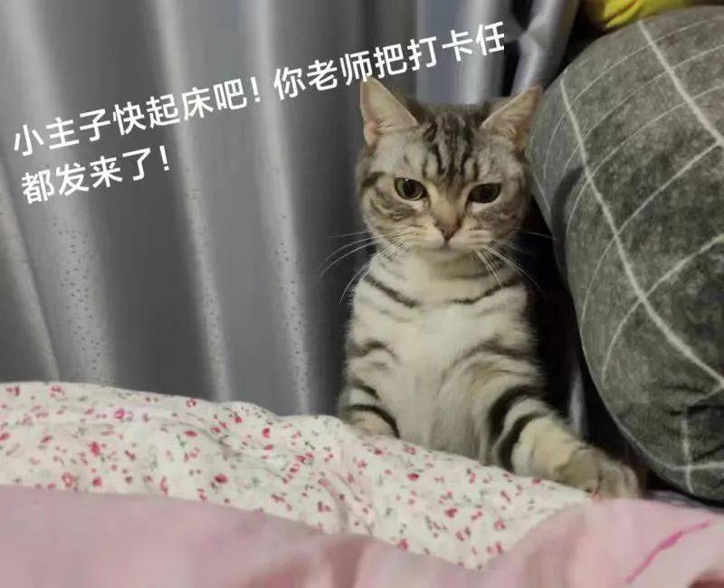 最美教育人⑤┆花式打卡专属表情寿光一中这位老师线上教学爱意满满