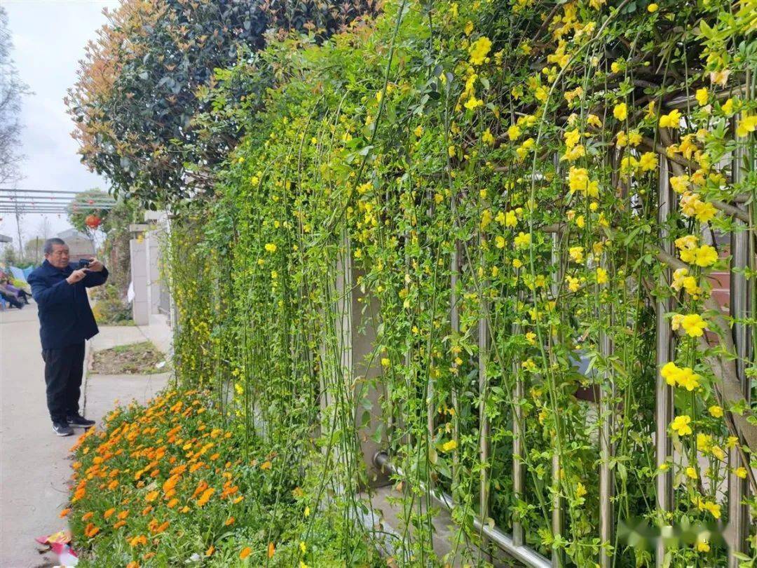 【鄉村振興雲夢實踐】這些村莊,美得像花園!_雲夢縣_河渠_建設